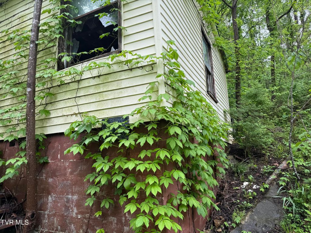Photo of 756 Shawnee Avenue, Big Stone Gap, VA 24219 (MLS # 9995000)