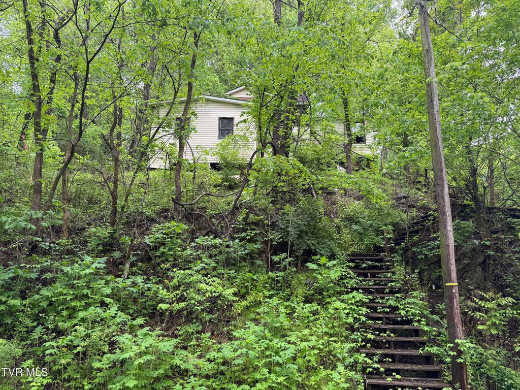 Photo of 756 Shawnee Avenue, Big Stone Gap, VA 24219 (MLS # 9995000)