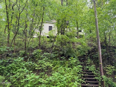 Homes For Sale - 756 Shawnee Avenue<br/> Big Stone Gap, VA 24219