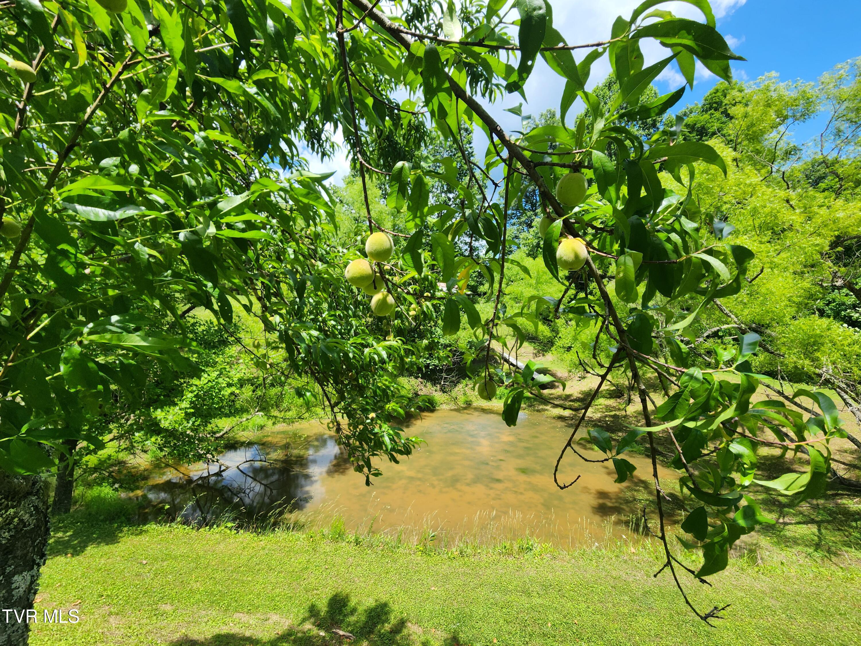 639 Dream Farm Road, Birchleaf, Virginia image 36
