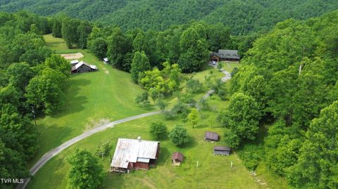 639 Dream Farm Road Birchleaf VA 24220