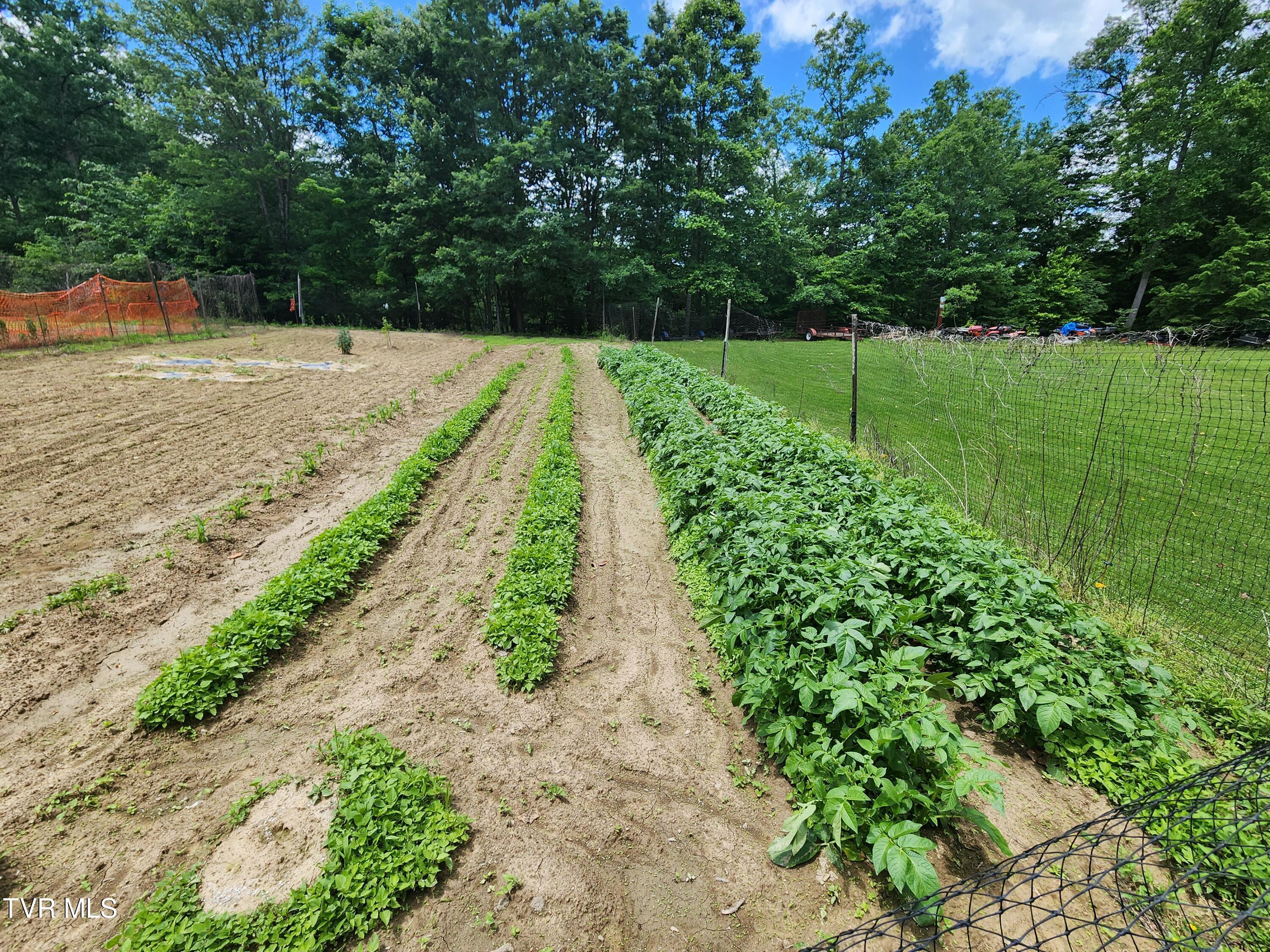 639 Dream Farm Road, Birchleaf, Virginia image 44