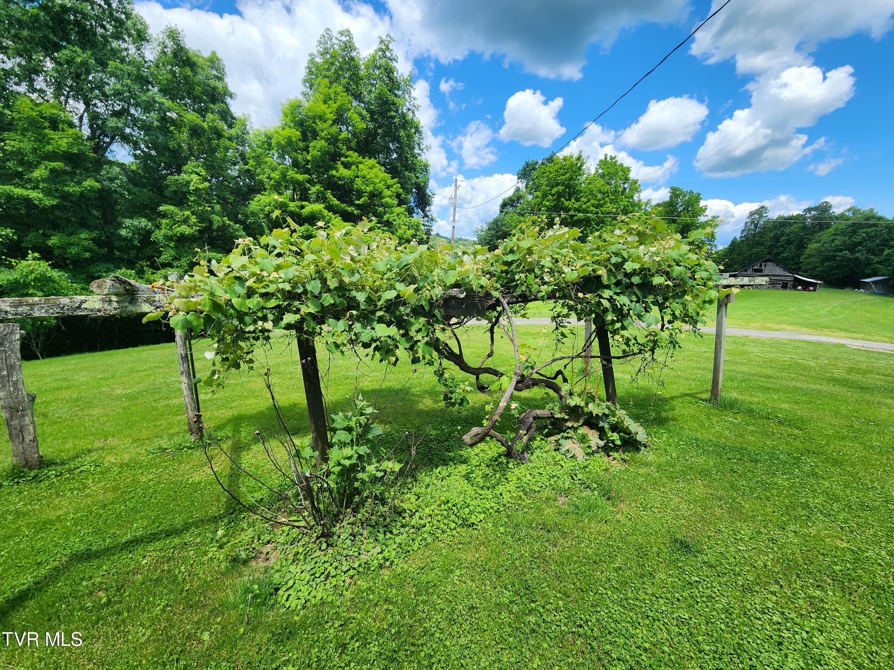 639 Dream Farm Road, Birchleaf, Virginia image 38
