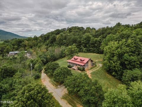 Tiny photo for 10882 Asheville Highway, Greeneville, TN 37743 (MLS # 9986406)