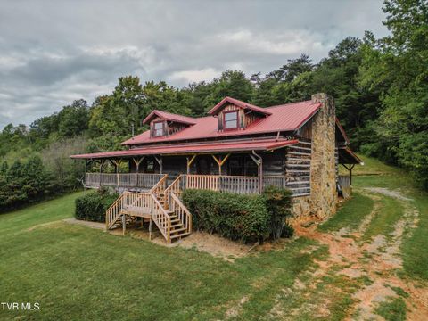 Tiny photo for 10882 Asheville Highway, Greeneville, TN 37743 (MLS # 9986406)