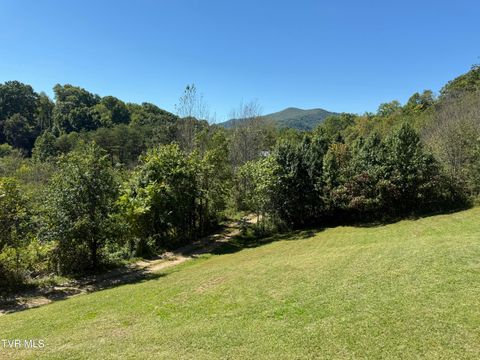 Tiny photo for 10882 Asheville Highway, Greeneville, TN 37743 (MLS # 9986406)