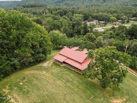 Tiny photo for 10882 Asheville Highway, Greeneville, TN 37743 (MLS # 9986406)