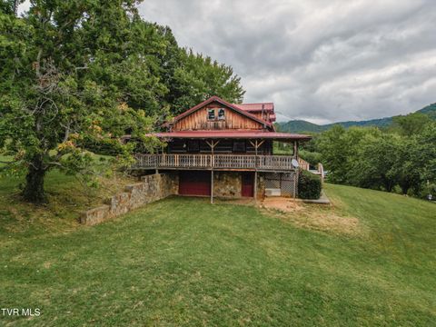 Tiny photo for 10882 Asheville Highway, Greeneville, TN 37743 (MLS # 9986406)