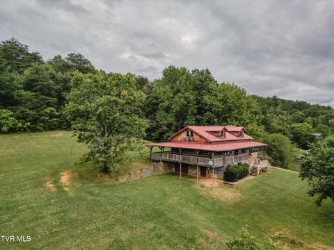 Tiny photo for 10882 Asheville Highway, Greeneville, TN 37743 (MLS # 9986406)
