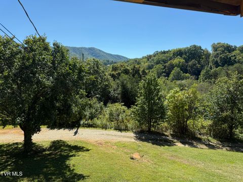 Tiny photo for 10882 Asheville Highway, Greeneville, TN 37743 (MLS # 9986406)