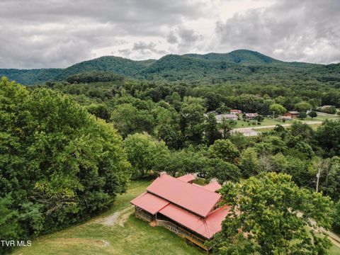 Tiny photo for 10882 Asheville Highway, Greeneville, TN 37743 (MLS # 9986406)