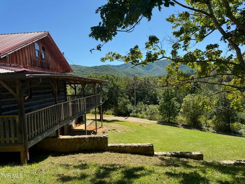 Tiny photo for 10882 Asheville Highway, Greeneville, TN 37743 (MLS # 9986406)