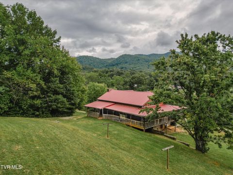 Tiny photo for 10882 Asheville Highway, Greeneville, TN 37743 (MLS # 9986406)