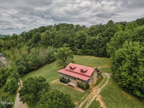 Tiny photo for 10882 Asheville Highway, Greeneville, TN 37743 (MLS # 9986406)