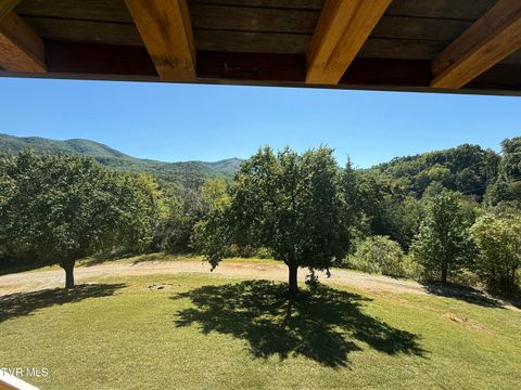 Tiny photo for 10882 Asheville Highway, Greeneville, TN 37743 (MLS # 9986406)