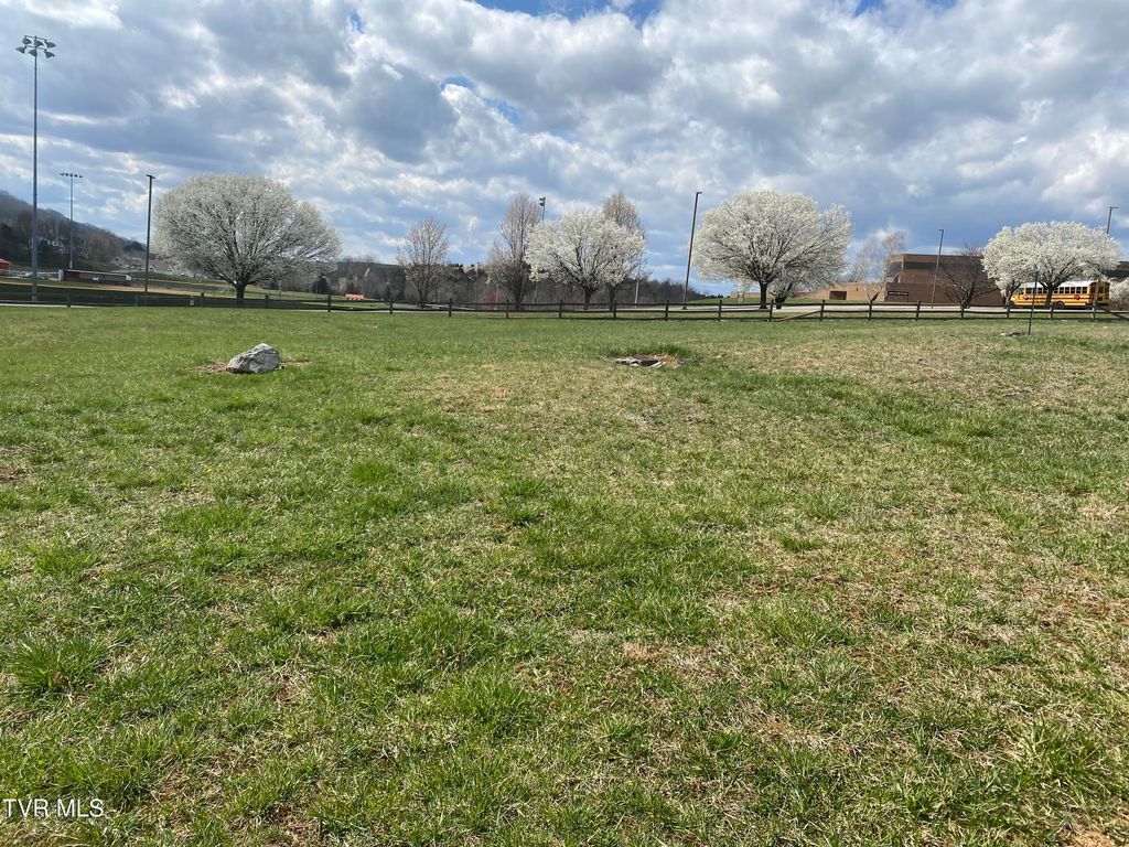 Photo of 3 Riley Street, Lebanon, VA 24266 (MLS # 9980299)