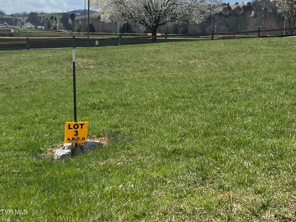 Photo of 3 Riley Street, Lebanon, VA 24266 (MLS # 9980299)