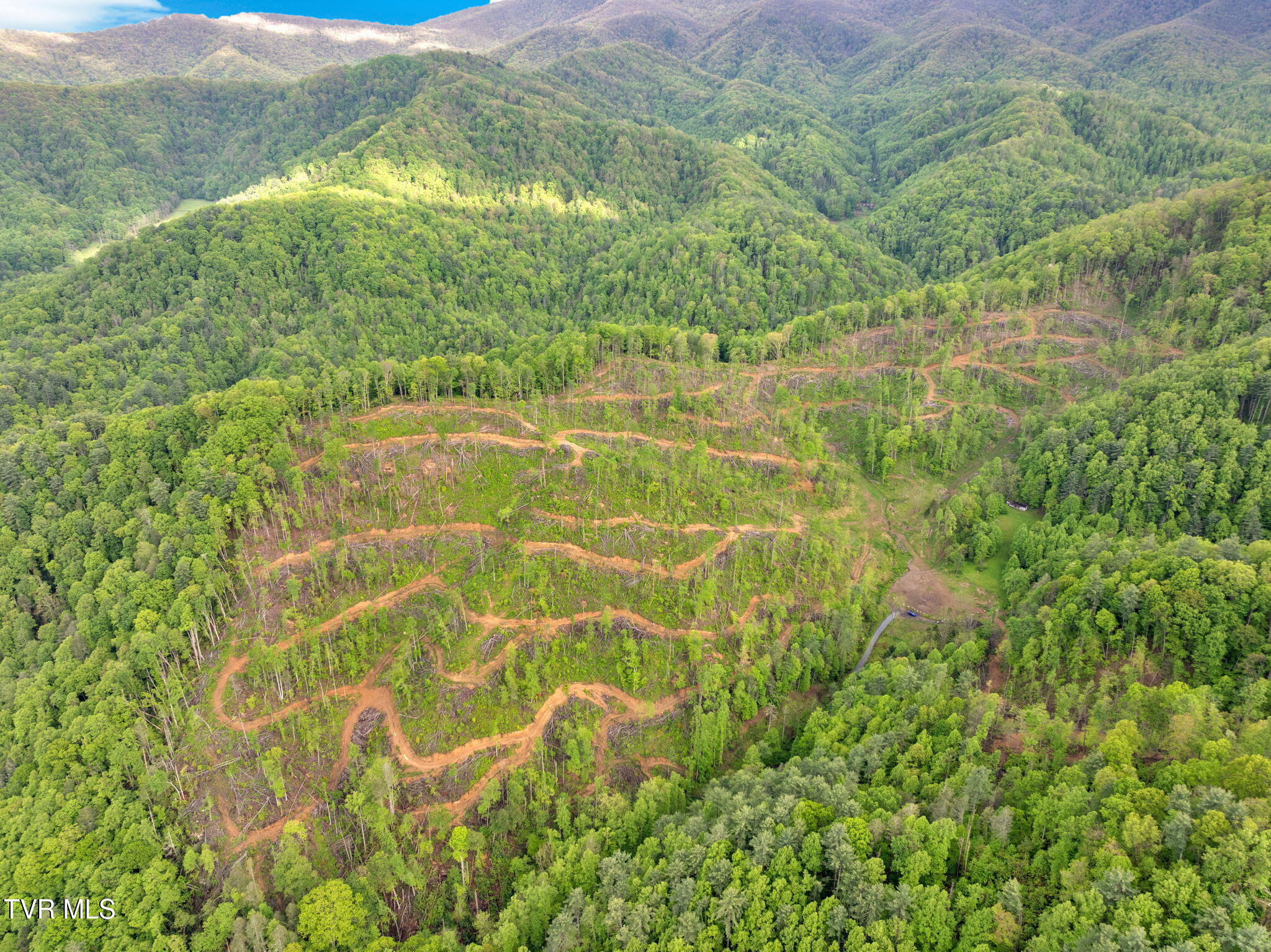 59.8 Acres Willis Cove Road, Erwin, Tennessee image 9