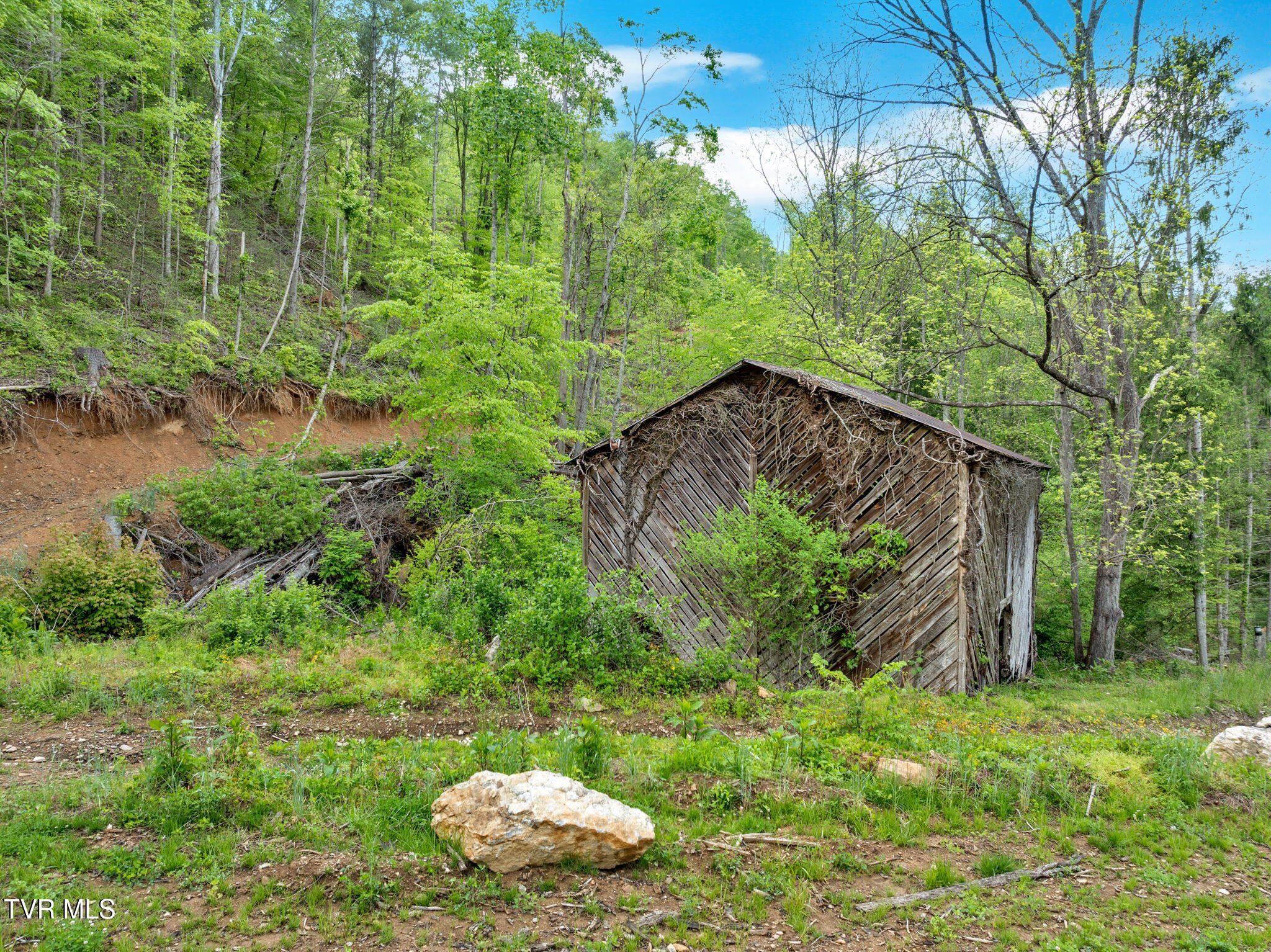 59.8 Acres Willis Cove Road, Erwin, Tennessee image 15