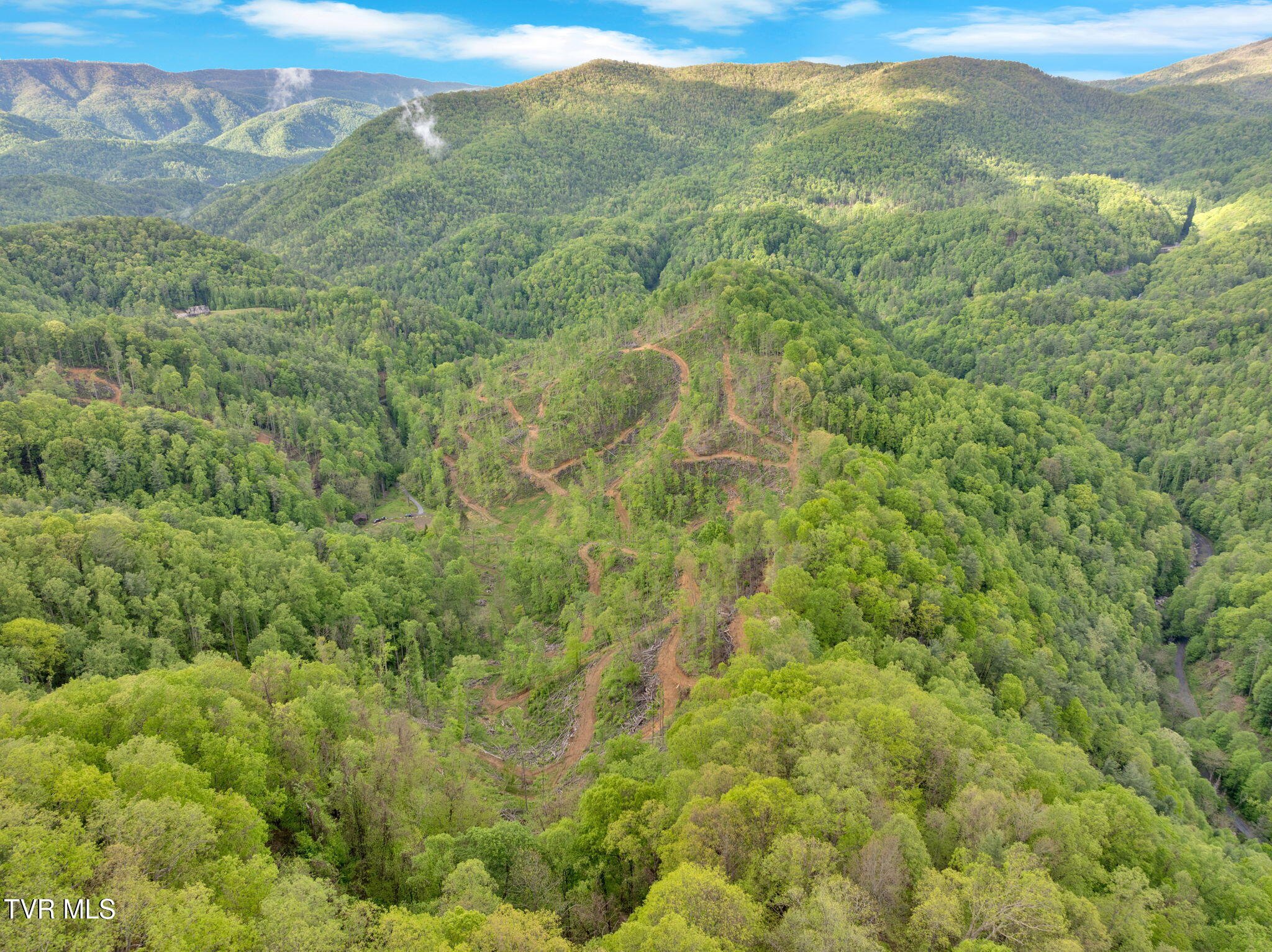59.8 Acres Willis Cove Road, Erwin, Tennessee image 5