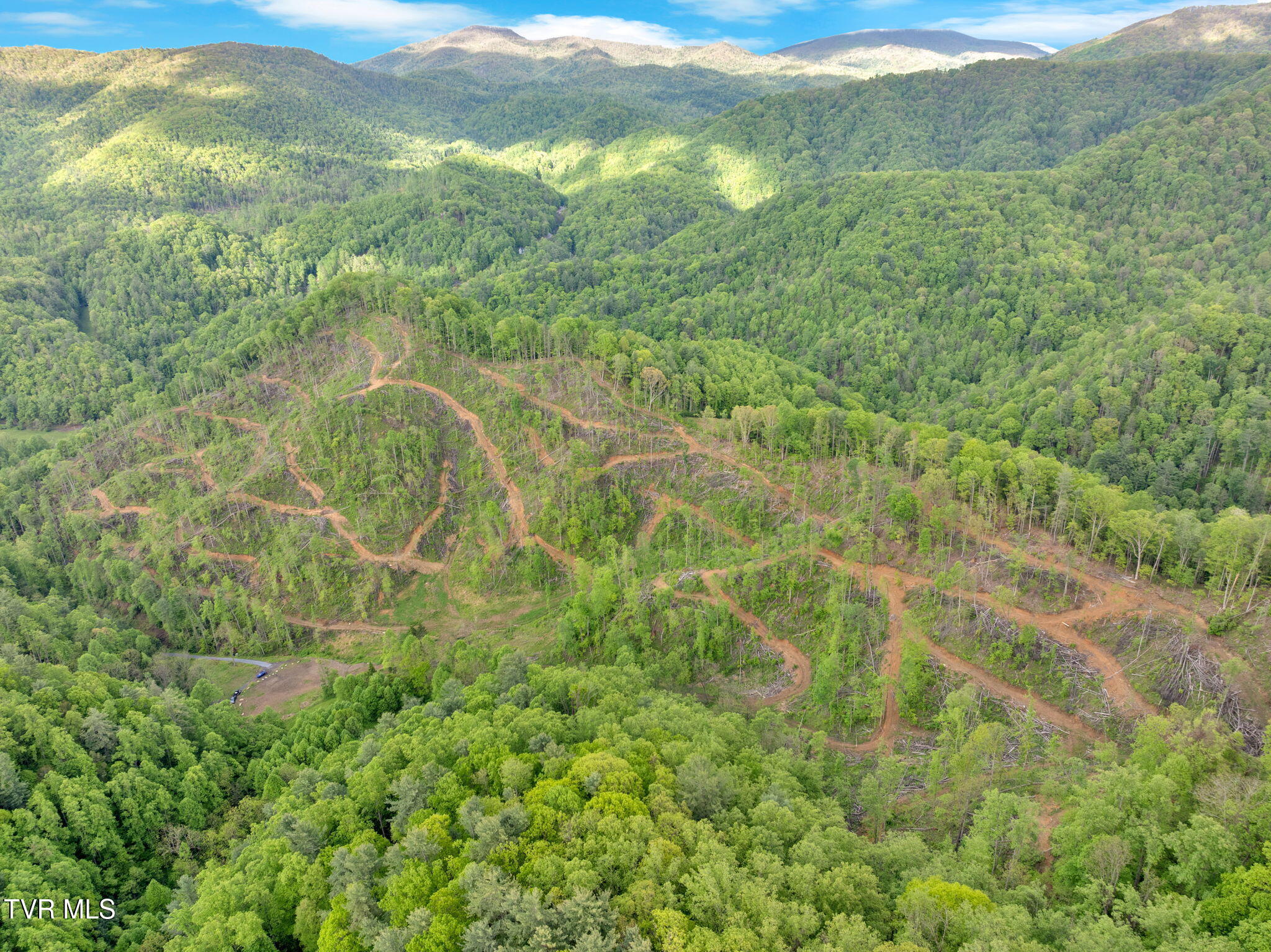 59.8 Acres Willis Cove Road, Erwin, Tennessee image 7