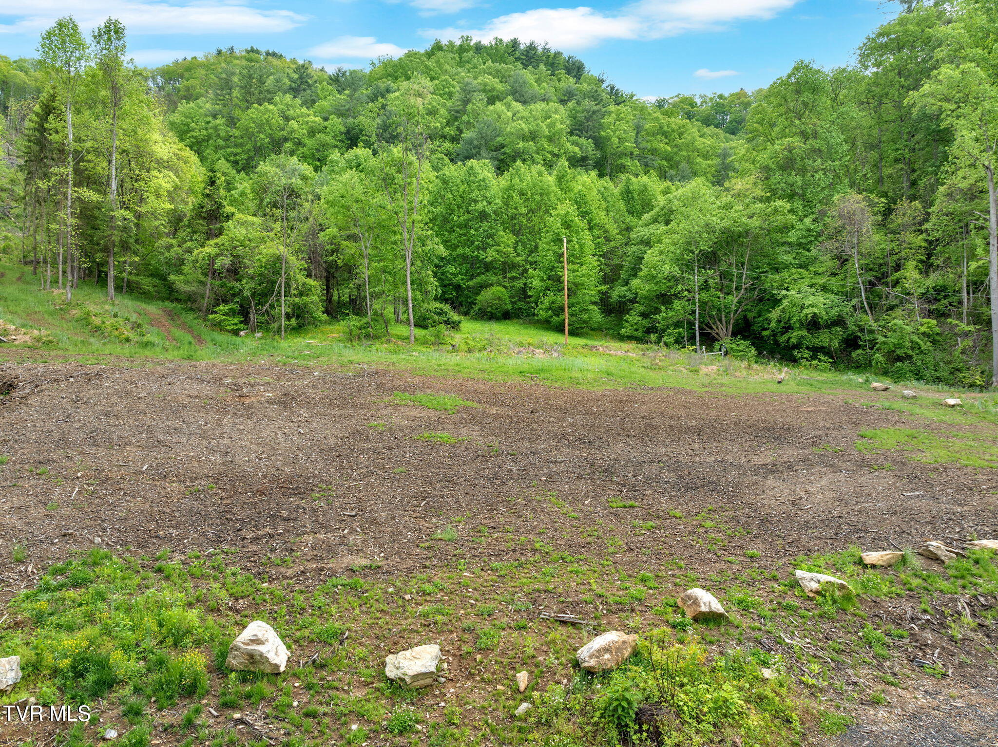 59.8 Acres Willis Cove Road, Erwin, Tennessee image 14