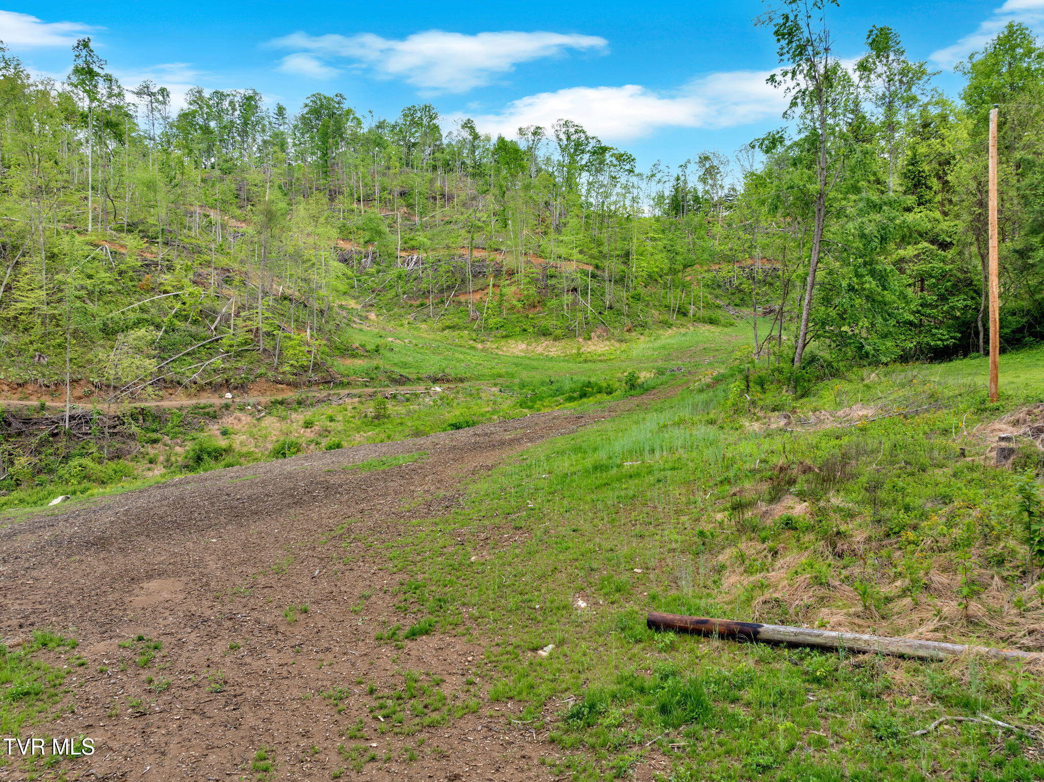 59.8 Acres Willis Cove Road, Erwin, Tennessee image 16