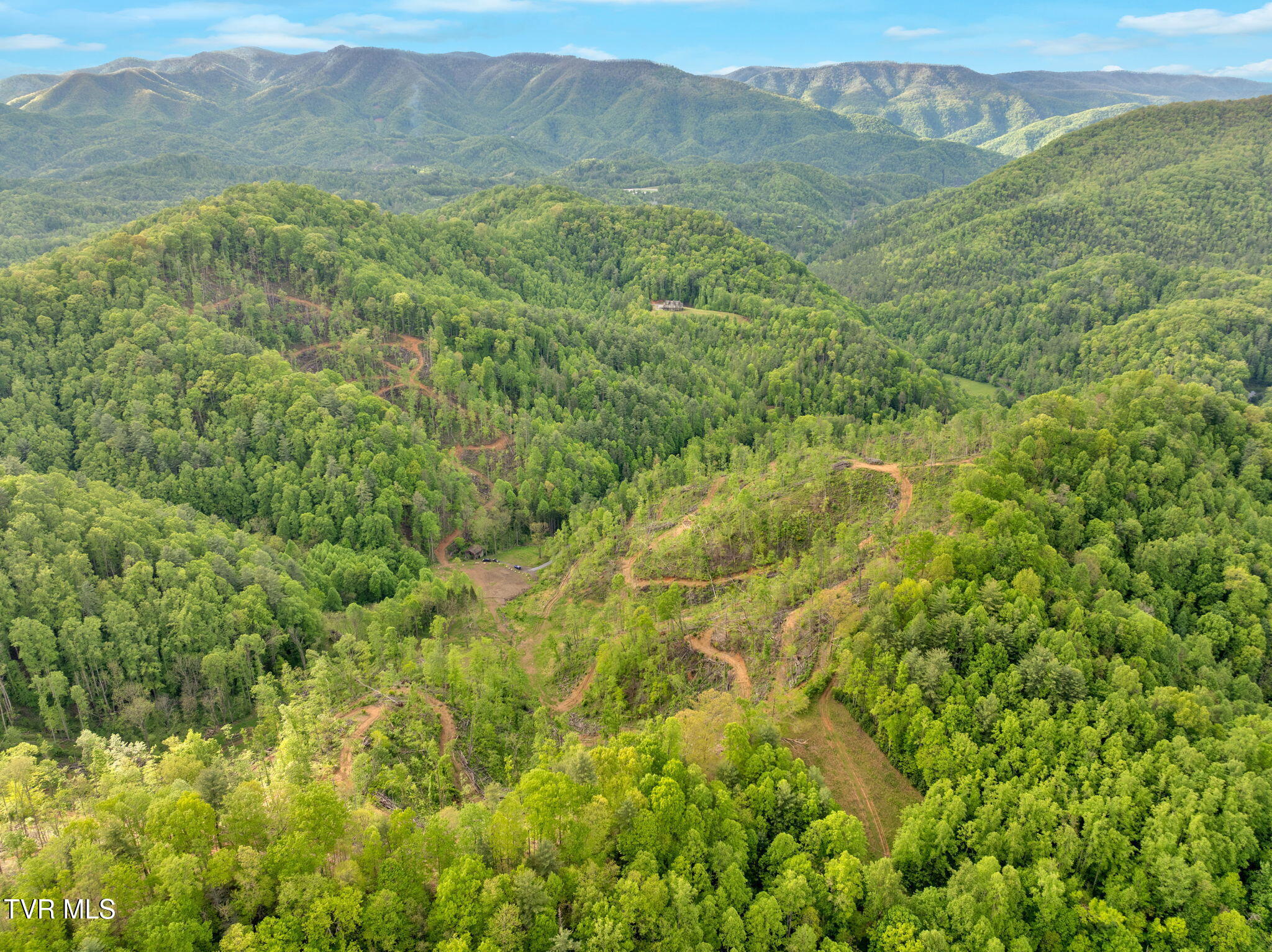 59.8 Acres Willis Cove Road, Erwin, Tennessee image 13