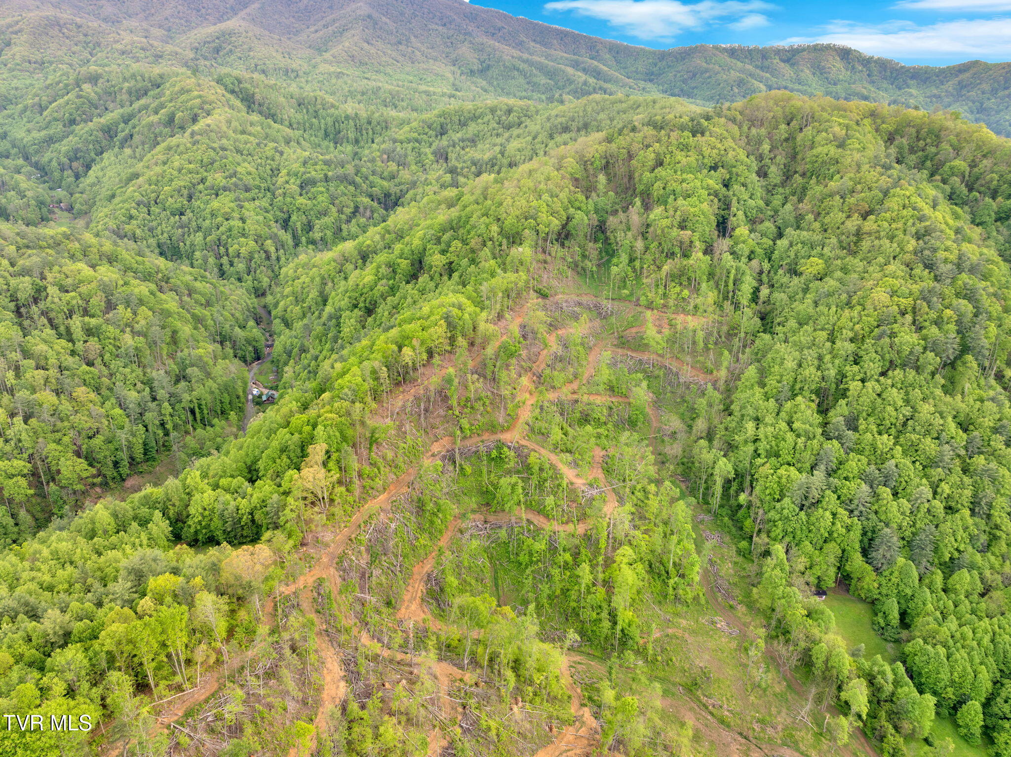 59.8 Acres Willis Cove Road, Erwin, Tennessee image 4