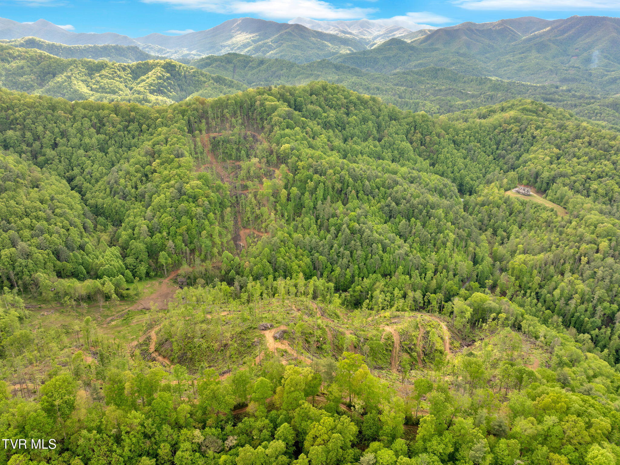 59.8 Acres Willis Cove Road, Erwin, Tennessee image 12