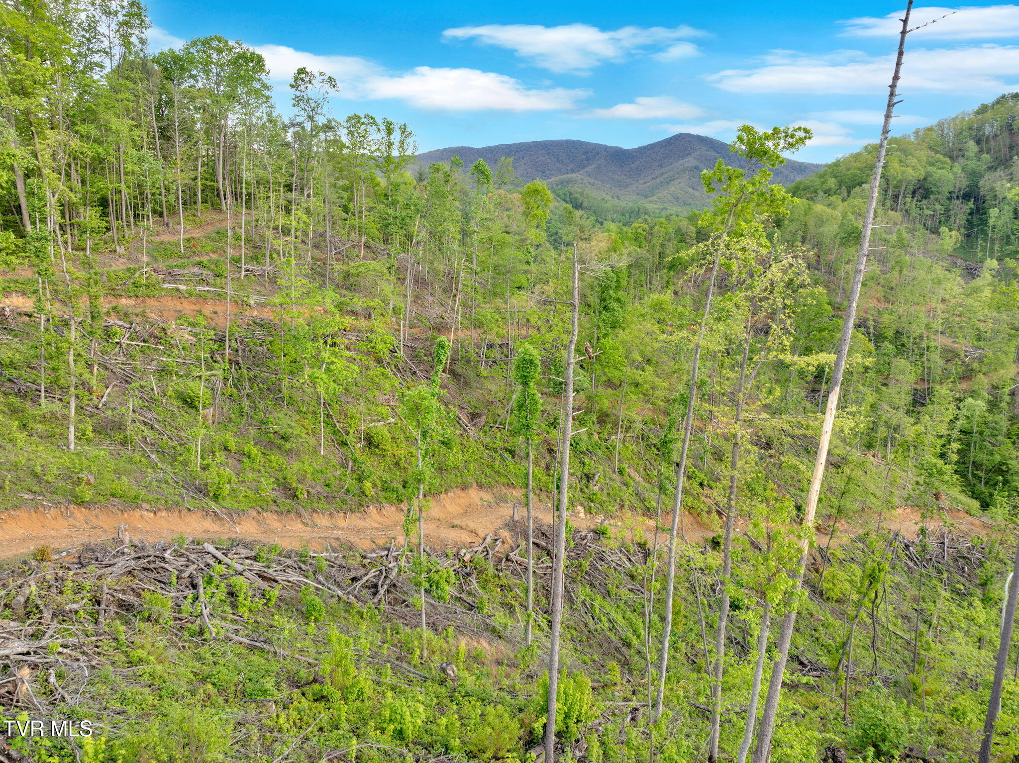 59.8 Acres Willis Cove Road, Erwin, Tennessee image 2