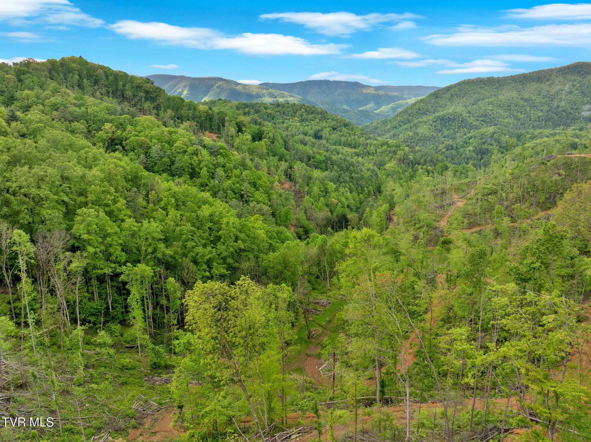 59.8 Acres Willis Cove Road, Erwin, Tennessee image 17