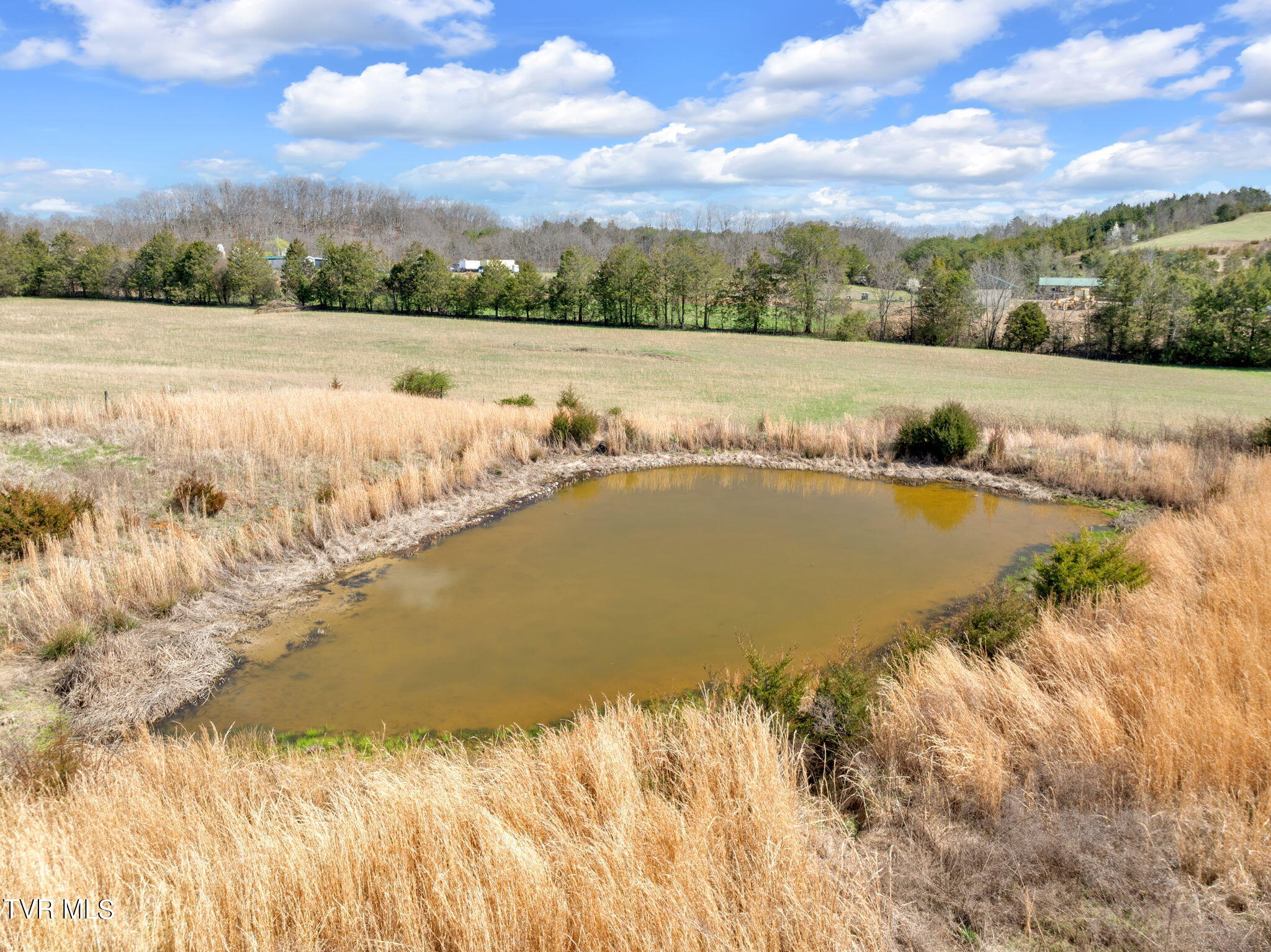545 Mcmillian Road, Midway, Tennessee image 19
