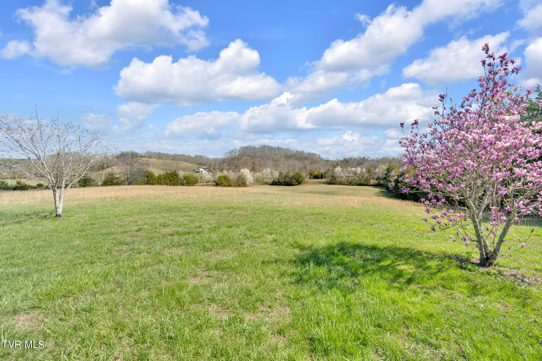 545 Mcmillian Road, Midway, Tennessee image 15