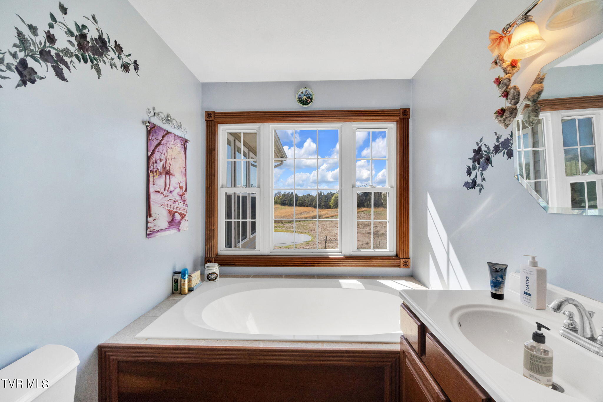 545 Mcmillian Road, Midway, Tennessee image 32
