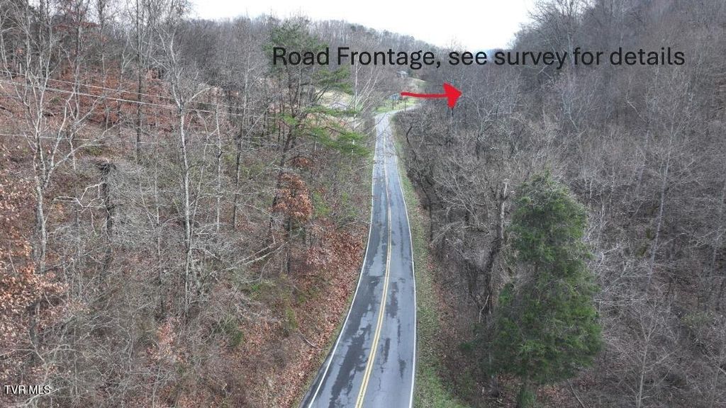 Photo of Tbd Lloyd&#39;s Chapel Road, Mount Carmel, TN 37645 (MLS # 9989041)