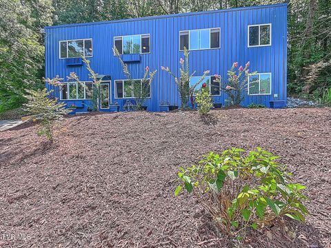 Photo of 3 Overlook Court, Johnson City, TN 37604 (MLS # 9989725)