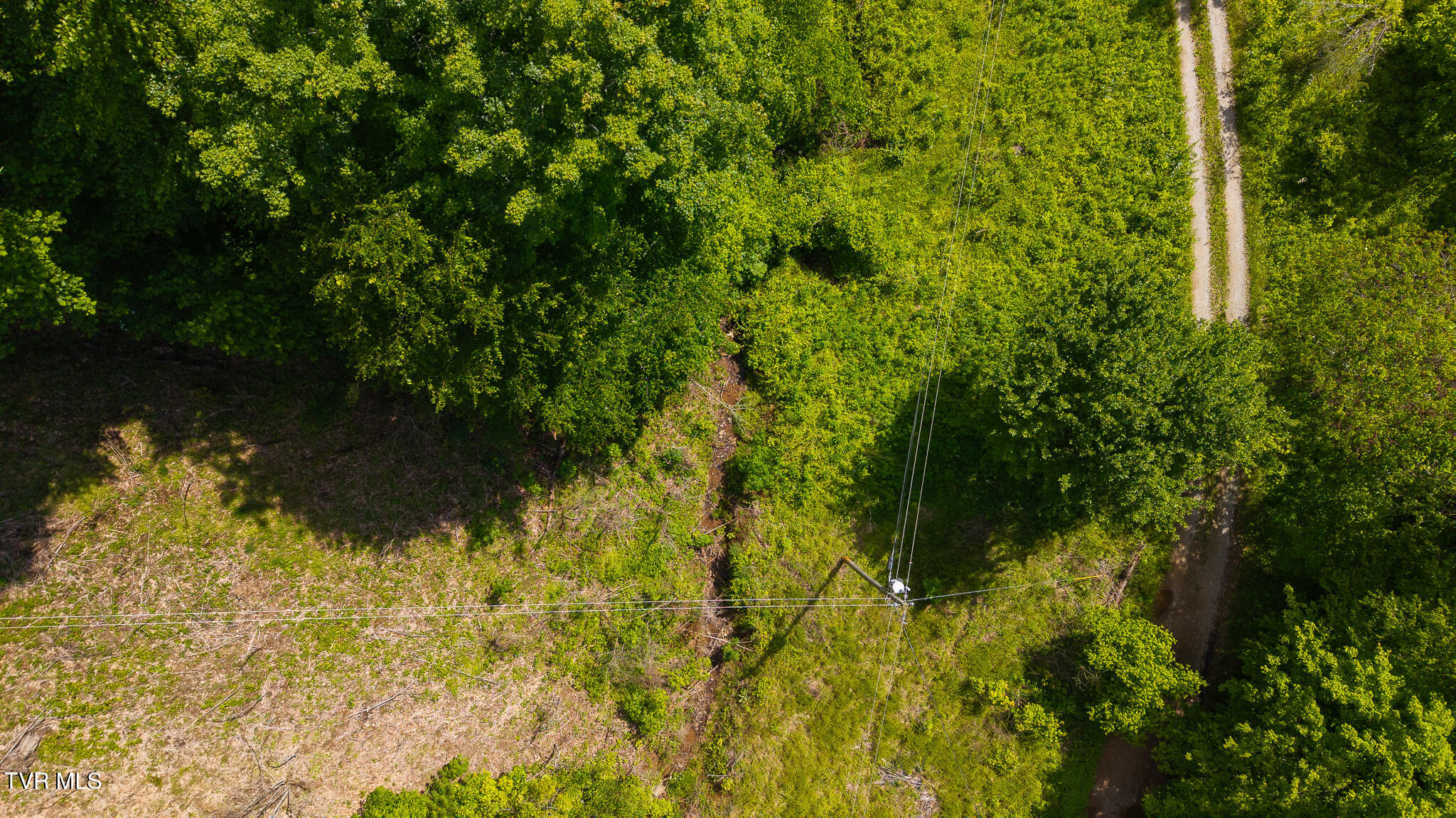 632 Jacobs Hollow Road, Sneedville, Tennessee image 13