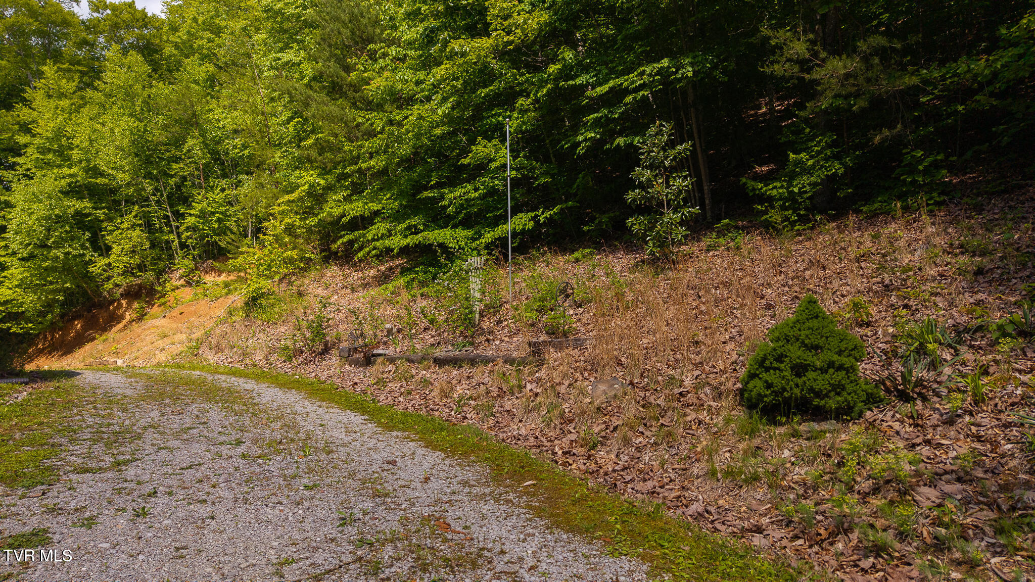 632 Jacobs Hollow Road, Sneedville, Tennessee image 14