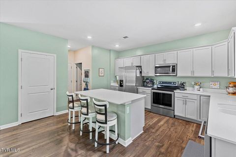 Tiny photo for 2492 Bridgeforth Crossing, Kingsport, TN 37664 (MLS # 9986487)