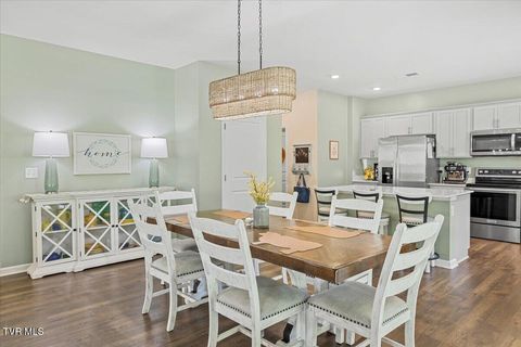 Tiny photo for 2492 Bridgeforth Crossing, Kingsport, TN 37664 (MLS # 9986487)