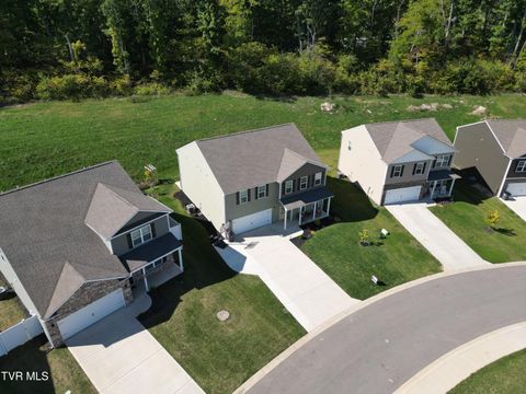 Tiny photo for 2492 Bridgeforth Crossing, Kingsport, TN 37664 (MLS # 9986487)