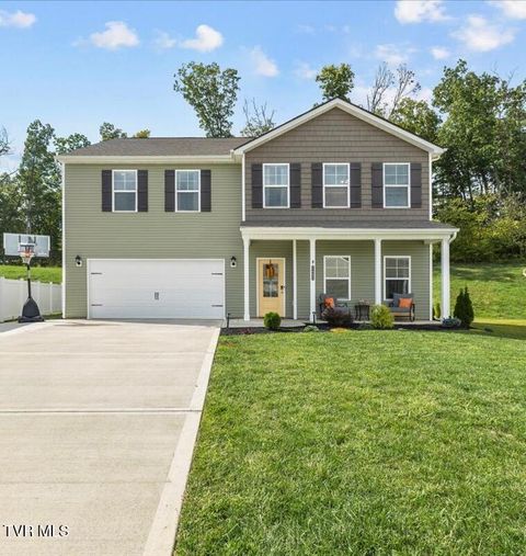 Tiny photo for 2492 Bridgeforth Crossing, Kingsport, TN 37664 (MLS # 9986487)