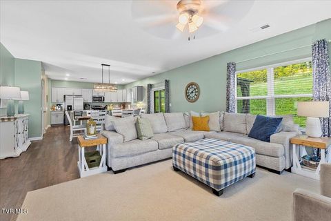 Tiny photo for 2492 Bridgeforth Crossing, Kingsport, TN 37664 (MLS # 9986487)