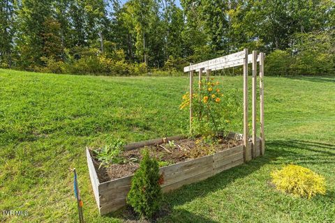 Tiny photo for 2492 Bridgeforth Crossing, Kingsport, TN 37664 (MLS # 9986487)