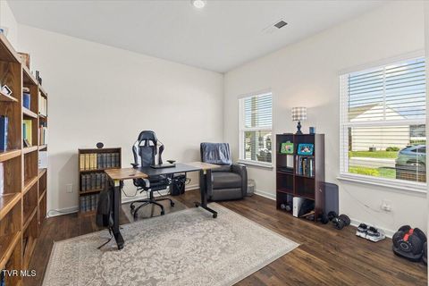 Tiny photo for 2492 Bridgeforth Crossing, Kingsport, TN 37664 (MLS # 9986487)