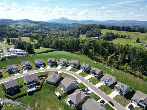 Tiny photo for 2492 Bridgeforth Crossing, Kingsport, TN 37664 (MLS # 9986487)