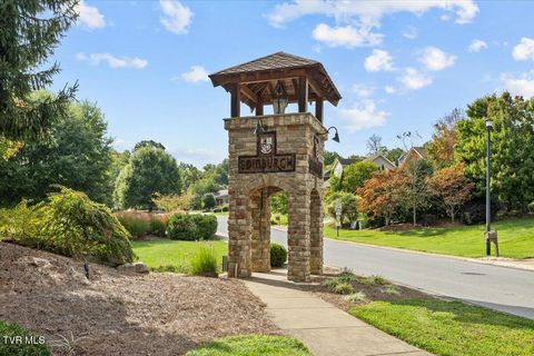 Tiny photo for 2492 Bridgeforth Crossing, Kingsport, TN 37664 (MLS # 9986487)