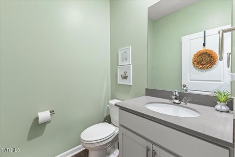 Tiny photo for 2492 Bridgeforth Crossing, Kingsport, TN 37664 (MLS # 9986487)