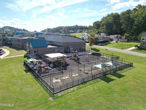 Tiny photo for 2492 Bridgeforth Crossing, Kingsport, TN 37664 (MLS # 9986487)